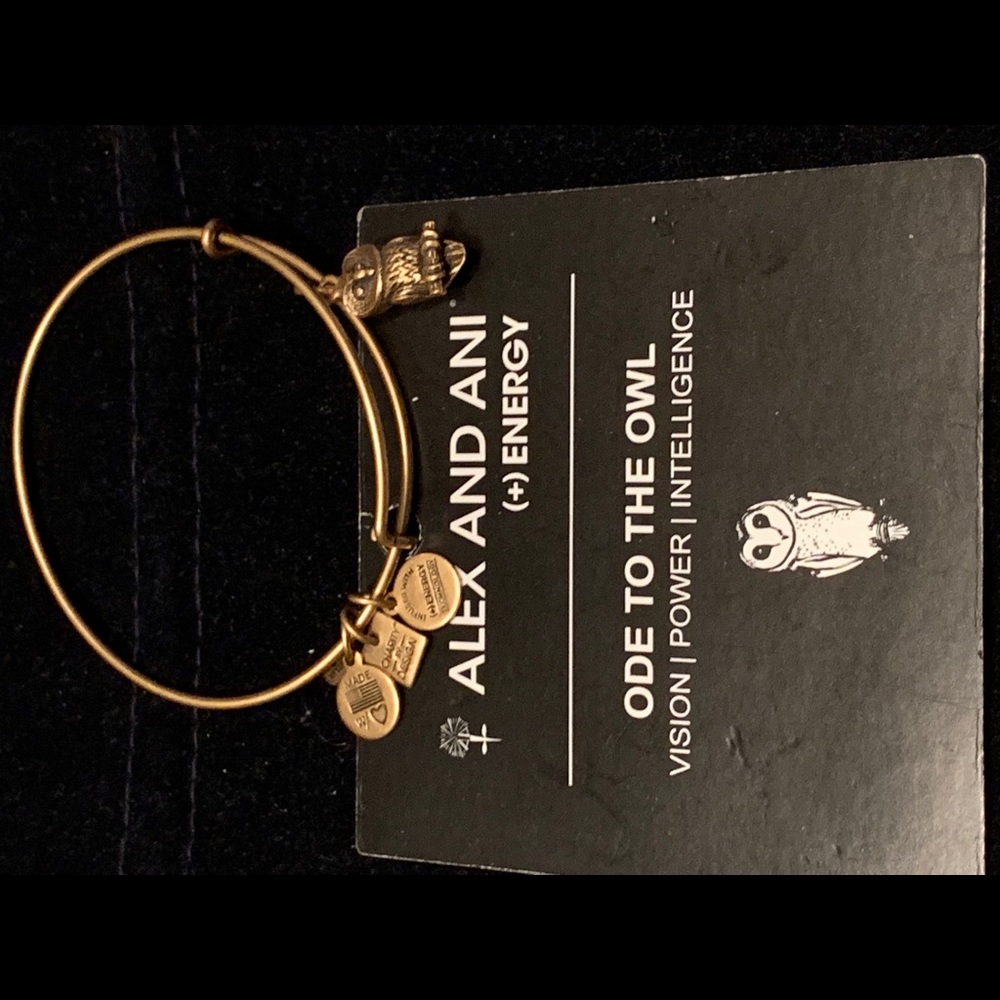 Alex and Ani Ode to the Owl charm bracelet